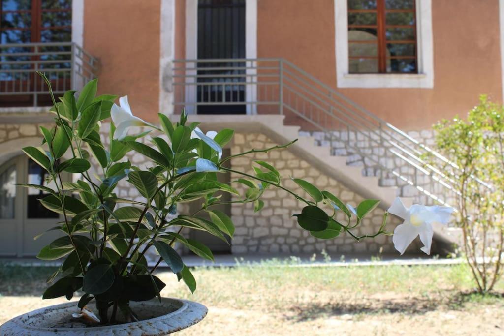La Provencale Διαμέρισμα Uzès Εξωτερικό φωτογραφία